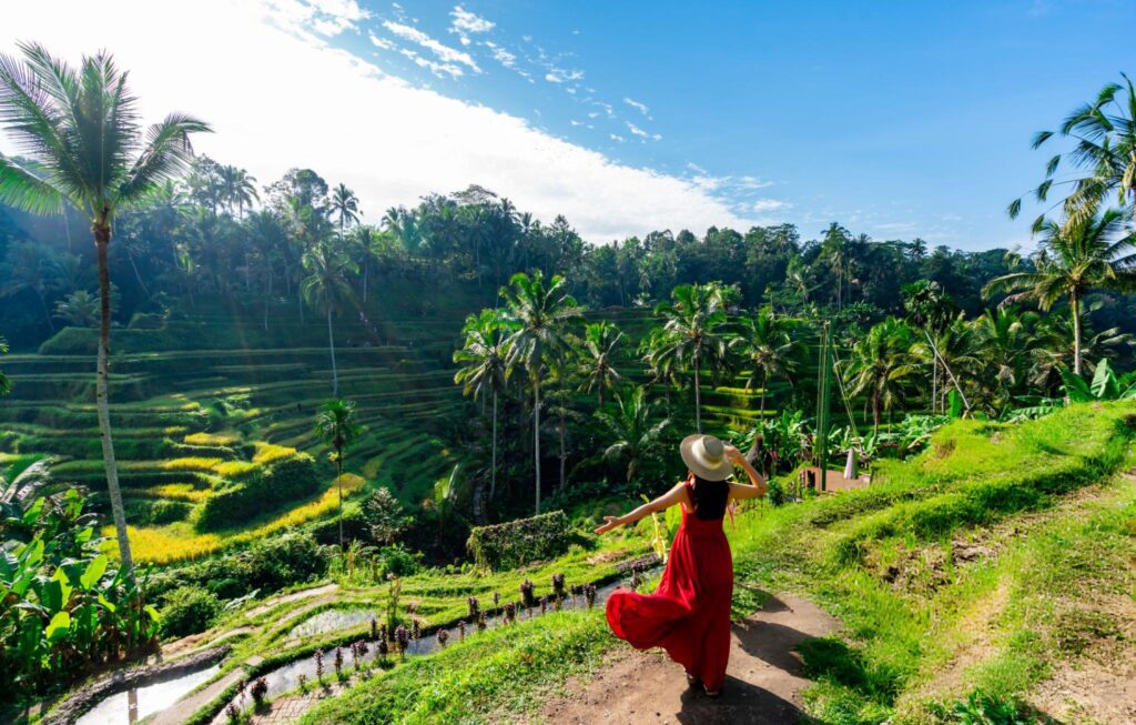 ubud day tour